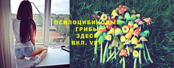 MESCALINE Армянск