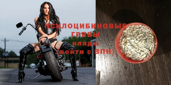 кокс Арсеньев