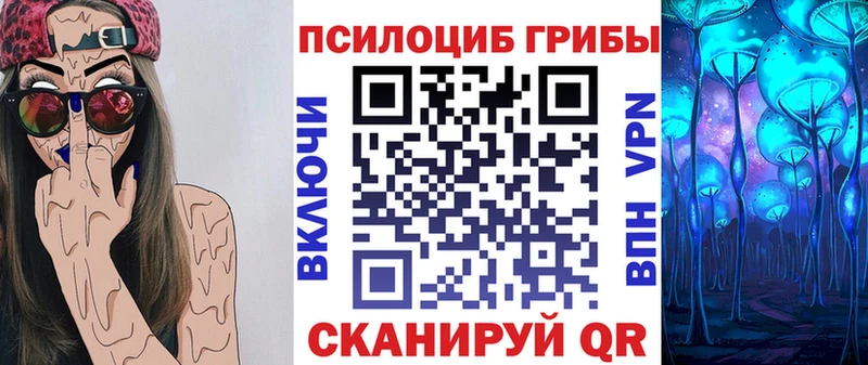 Галлюциногенные грибы прущие грибы  сколько стоит  Кадников 
