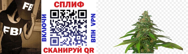 где можно купить   Кадников  Каннабис Bruce Banner 